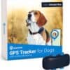 Tractive GPS Traceur 4 Collier Chien