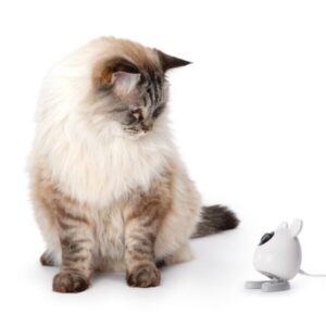 CATIT Pixi Smart Mouse Caméra