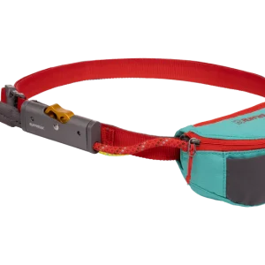 4041 Hitch Hiker Leash Aurora Teal